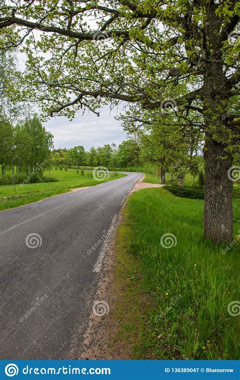 Country Gravel Road With Old And Broken Asphalt Stock Image Image Of