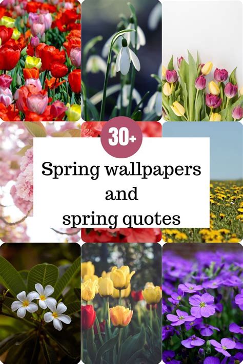 30+ spring wallpapers and spring quotes. Spring wallpaper, aesthetic ...