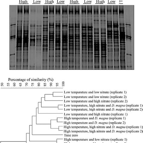 Pcr Dgge Analysis Of Bacterial 16s Rrna Gene Diversity In Microcosms Download Scientific