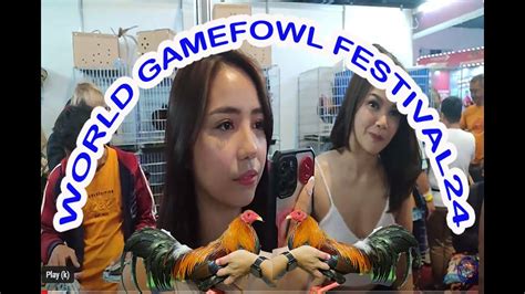 Aej Gamefarm Dinumog Sa Worldgamefowlexpo Youtube