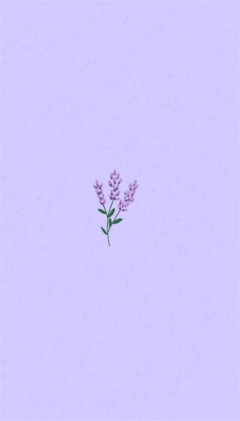 [100+] Lavender Aesthetic Wallpapers | Wallpapers.com