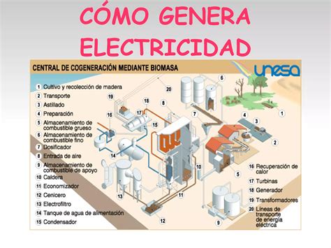 Central De Biomasa Ppt