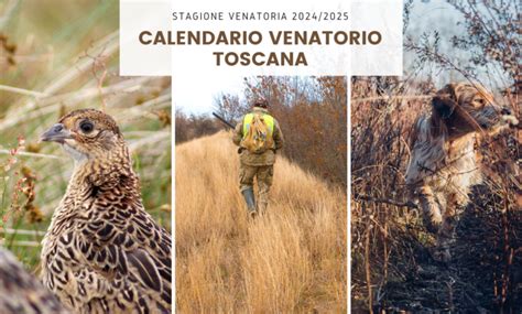 Calendario Venatorio Toscana Iocaccio It