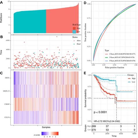 Risk Score Analysis Of 4 Rbp Prognostic Model In Tcga Ec Cohort A