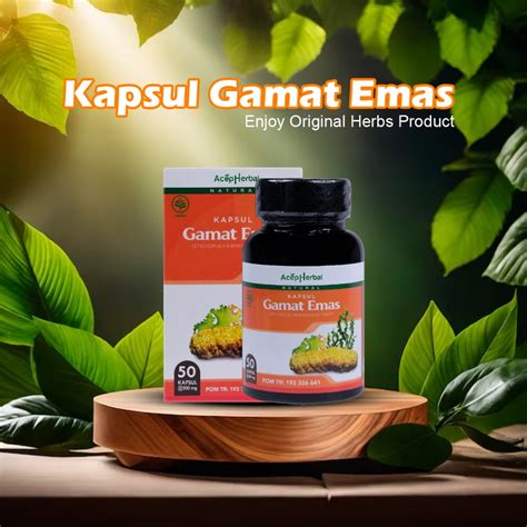 Jual Kapsul Gamat Emas Original Ekstrak Teripang Emas Halal Dan