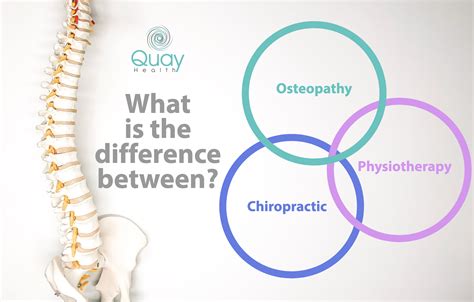 Whats The Difference Between A Physiotherapist Chiropractor And