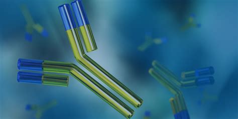 Antibody Development | Cygnus Technologies