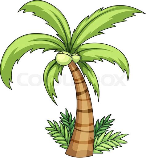 Clipart Palme Bestandteil Stock Vektor Colourbox