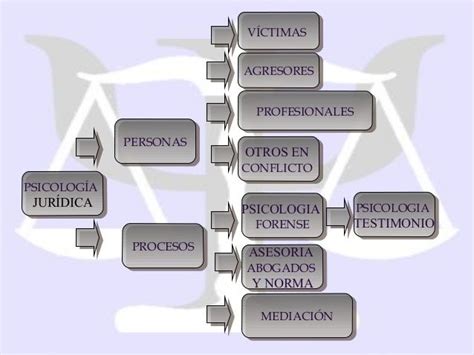 Psicolog A Jur Dica Mind Map