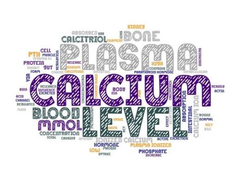 Calcium Metabolism Graphic by laurenejlevinson · Creative Fabrica