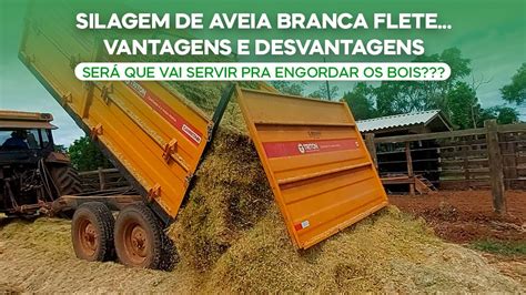 Silagem de Aveia Branca FLETE Vantagens e DesvantagensSerá que vai