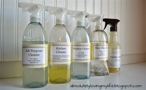 Loving Life Diy Spray Bottle Labels For Homemade Cleaners