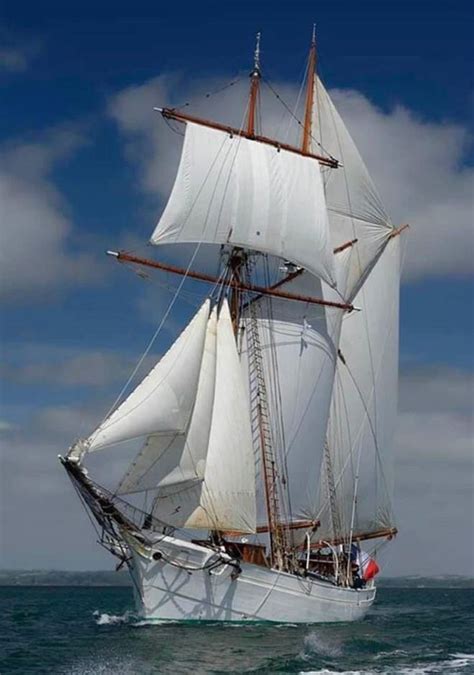 Pin By Willem Van Osch On Tall Ships Sailing Ships Old Sailing Ships