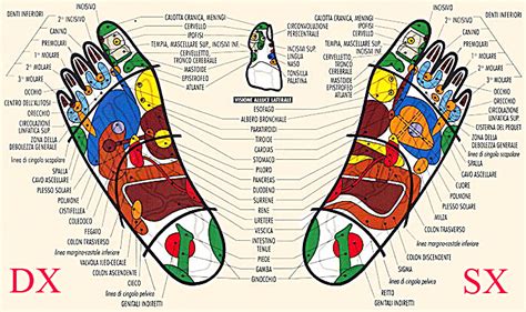 Mappa Dei Punti Della Riflessologia Plantare Poster