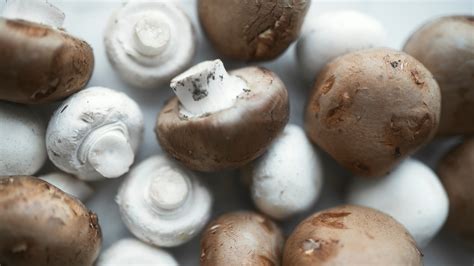 How To Cook The Best White Mushrooms At Amanda Yeager Blog