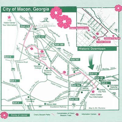 Where To See Macon S Cherry Blossom Trees Cherry Blossom Festival