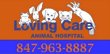 Pet Grooming in Palatine, IL | Loving Care Animal Hospital