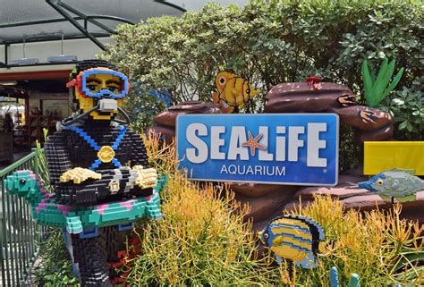 Legoland Sea Life Aquarium San Diego - Aquarium Views