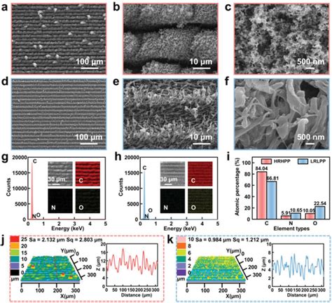 Surface Morphology And Chemical Composition Characterizations Of PI