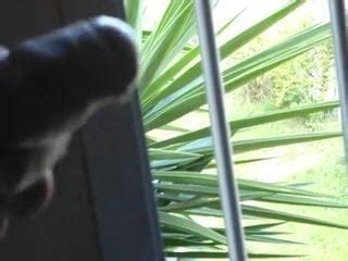 Se Exibindo Free Public Porn Video F8 XHamster