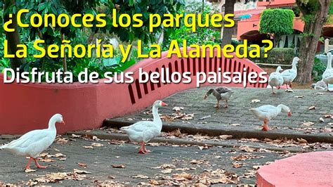 Conoces el parque de La Señoría y La Alameda Disfruta de sus bellos