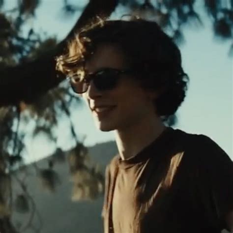 timothée chalamet as nic sheff icons em 2024