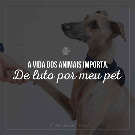 Frases Para Cachorro Que Morreu