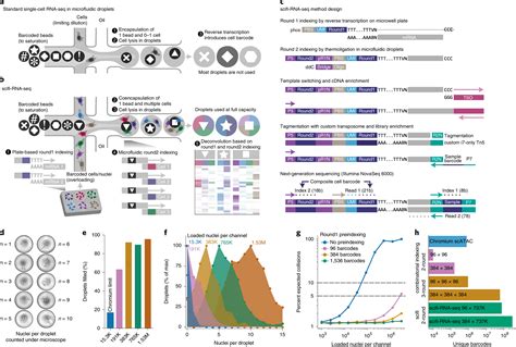 Ultra-high-throughput single-cell RNA sequencing and perturbation scre ...