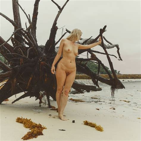 Wild Beach Artistic Nude Photo By Photographer Dml At Model Society