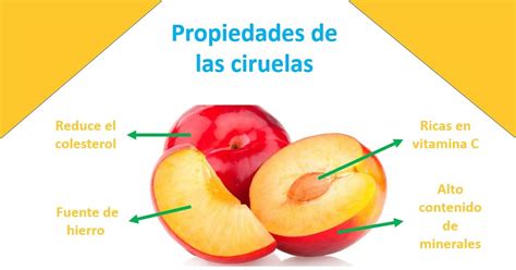 Ciruelas Propiedad Beneficios Valores Nutricionales Usos Y