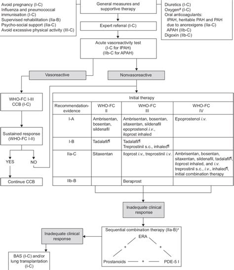 Evidence Based Treatment Algorithm For Pulmonary Arterial Hypertension Download Scientific