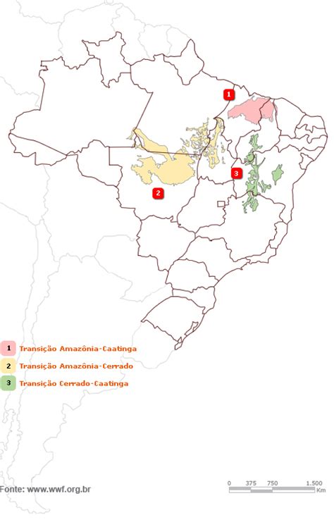 Mapa Zonas De Transição Wwf Brasil