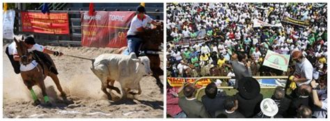 Lei Que Torna Vaquejada Manifesta O E Patrim Nio Cultural Sancionada