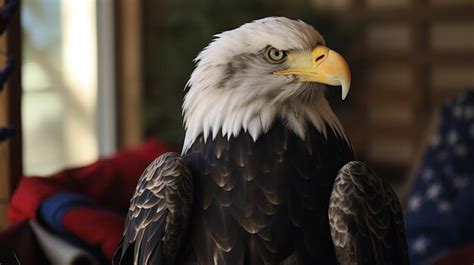 Premium AI Image A Bald Eagle With A Yellow Beak