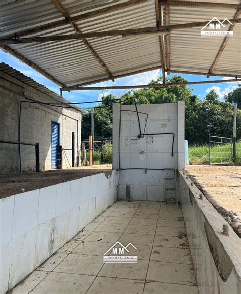 Fazenda Venda Em Bom Despacho Mg Por R