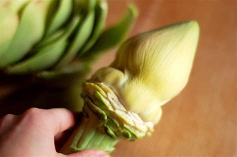 How To Prepare Artichoke Hearts Kitchn