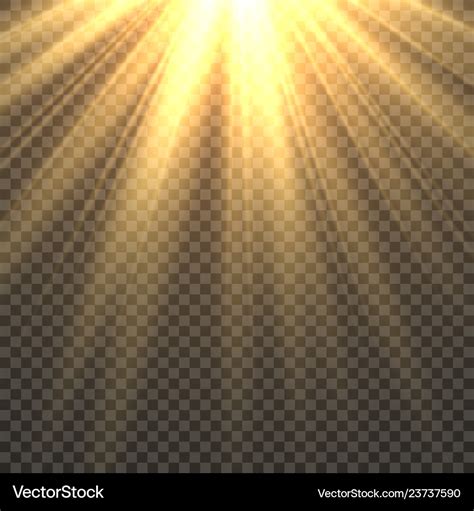 Sunlight isolated sun light effect golden Vector Image