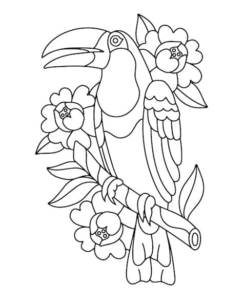 3 Tropical Birds Coloring Pages For Kids Designs Grap - vrogue.co