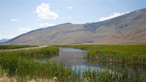 Ruby Mountains Nevada Summertime Activities Lamoille Canyon