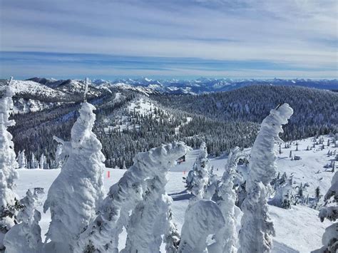 Whitefish Mountain Resort Whitefish Mountain Best Snow Northern Mt