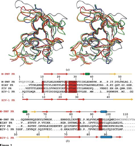 Figure 1 From High Resolution Structure Of A Retroviral Protease Folded