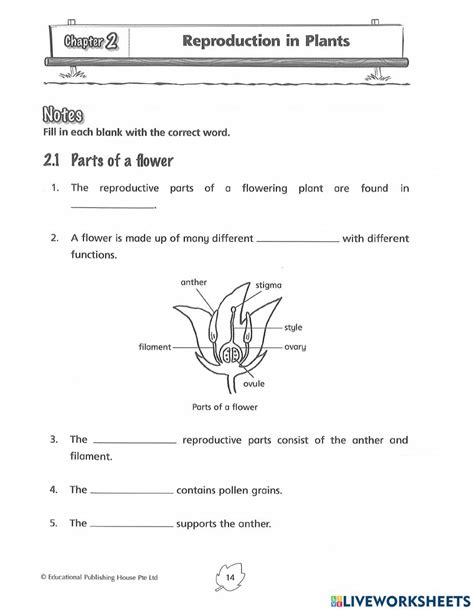 Reproduction In Plants Worksheet For P First Grade Worksheets