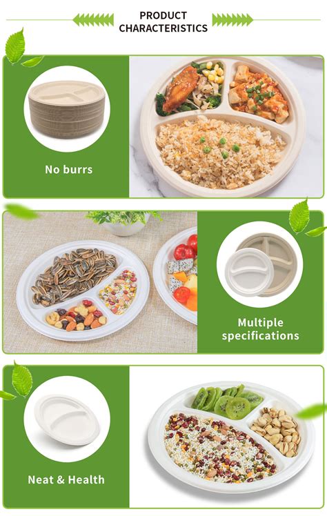 Luzhoupack 10 Inch Eco Friendly Disposable Sugar Cane Paper Dinner