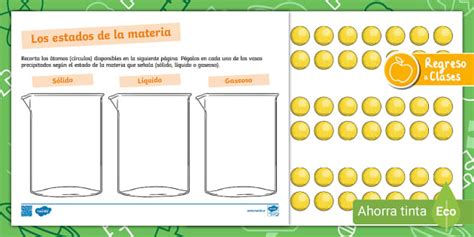 Hoja De Trabajo Los Estados De La Materia Twinkl