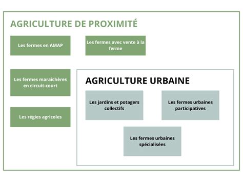 Lagriculture Urbaine Cest Quoi Association Fran Aise D