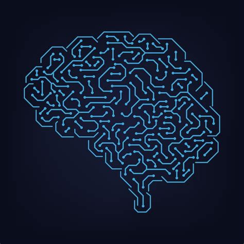 Premium Vector Schematic Representation Of The Human Brain From