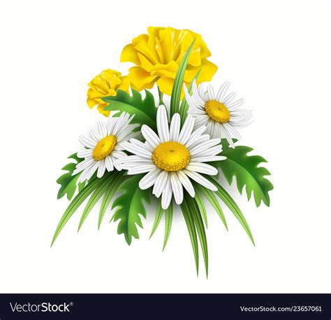 3d yellow diasy cornflower elegant bouquet Vector Image