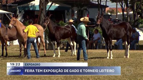 Expoagro Feira Tem Exposi O De Gado E Torneio Leiteiro Em Franca