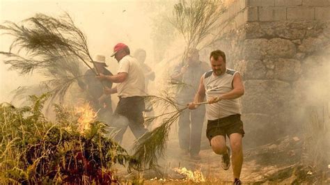 800 Feuerwehrleute kämpfen gegen Waldbrände in Portugal