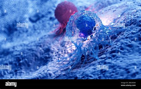 Cancer cell, illustration Stock Photo - Alamy